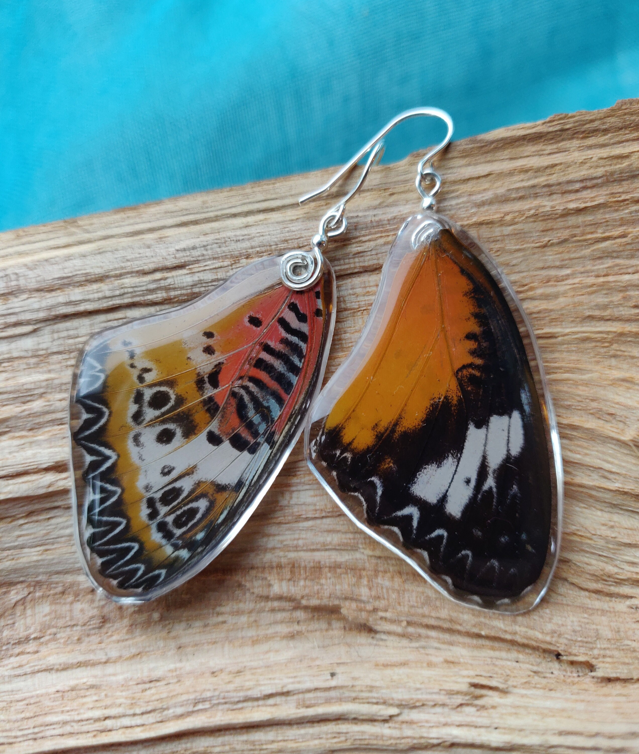 encased butterfly encased butterfly