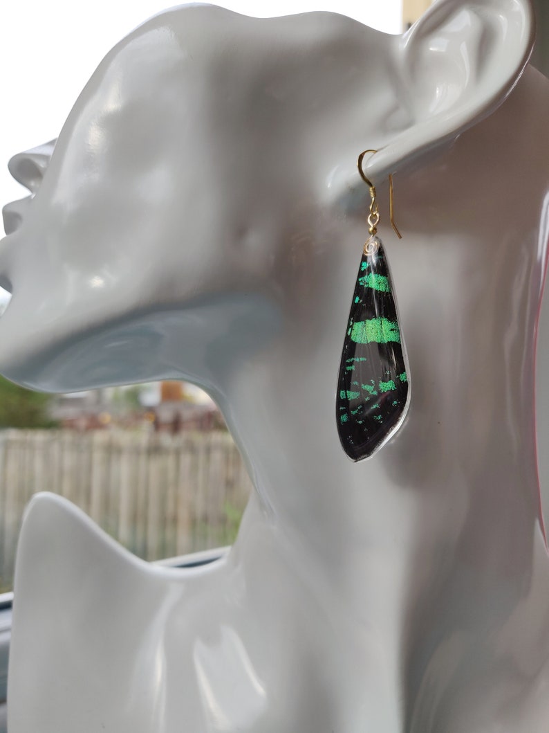 Sunset real Moth earrings in gold resin green iridescent ethically sourced real moth Butterfly wing earrings with sterling silver and gold