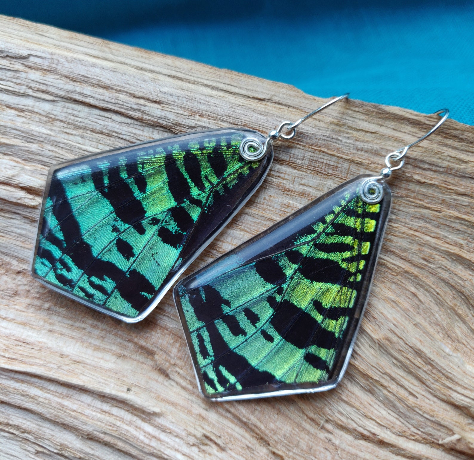 sunset earrings