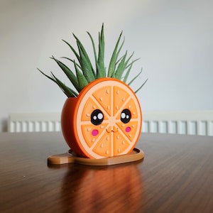 Kawaii Oranje Bloempot - Kleine en grote maten met waterbak
