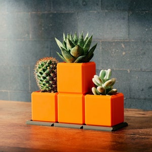 Puede incluir: Tres macetas naranjas apiladas una encima de la otra, con una planta suculenta en cada maceta. La maceta superior tiene una suculenta verde, la maceta del medio tiene un cactus y la maceta inferior tiene una pequeña suculenta verde.
