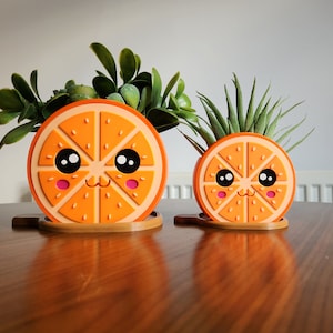 May include: Two orange slice planters with cute faces. The larger planter has a succulent plant and the smaller planter has a green air plant.