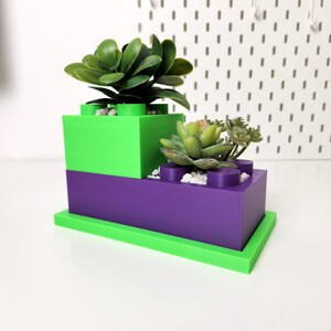 May include: A green and purple planter shaped like a Lego brick, with two small succulent plants inside.