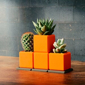 May include: A bright orange, stepped planter holding three succulents and a cactus. The planter is constructed from square blocks and rests on a dark grey tray. The plants display various shades of green and brown.
