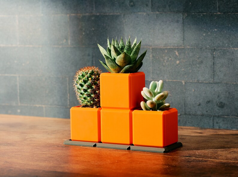 May include: A bright orange, stepped planter holding three succulents and a cactus. The planter is constructed from square blocks and rests on a dark grey tray. The plants display various shades of green and brown.