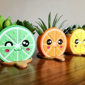 Puede incluir: Tres macetas de suculentas lindas con forma de lima, naranja y limón. Cada maceta tiene una cara feliz y está hecha de plástico brillante y colorido.