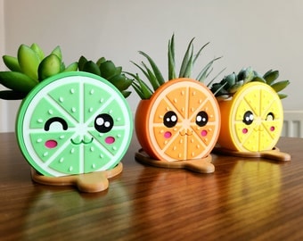 Citrus Trio - Set di 3 vasi di fiori a forma di frutta (lime, arancia, limone)