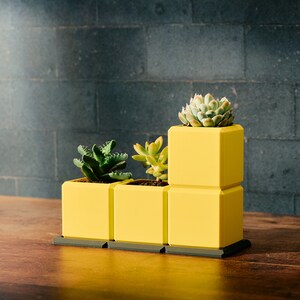 May include: A contemporary yellow planter, featuring three sections, each containing a succulent plant. The planter has a stepped design, with a dark grey base and a dark grey backdrop. The planter's dimensions are approximately 30 cm in length.