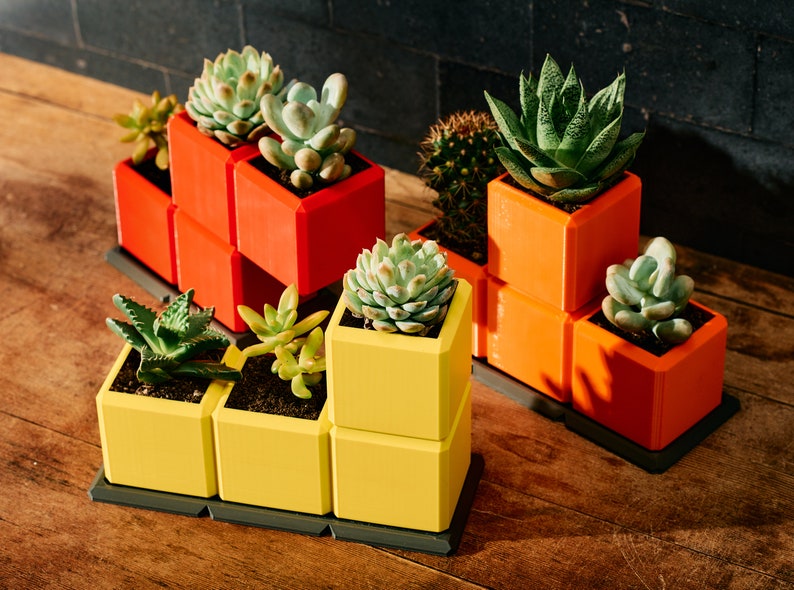 May include: Two sets of modular planters made of red and yellow plastic, each with a different arrangement of square pots. The planters are filled with various succulents and cacti.