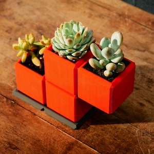 May include: A red and gray modular planter with three succulent plants. The planter is made of plastic and has a modern design.