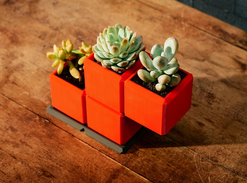 May include: A red and gray modular planter with three succulent plants. The planter is made of plastic and has a modern design.
