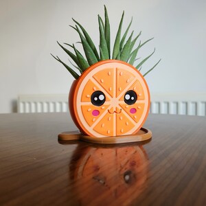 May include: A cute orange slice planter with a happy face and a green succulent plant growing out of the top.