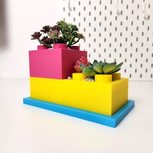 May include: A pink and yellow planter shaped like Lego blocks with a blue base. The planter is filled with small green and red succulents.