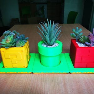 May include: Three small potted plants in green, yellow, and red planters shaped like a question mark block, a pipe, and a brick block from the Super Mario Bros. video game.