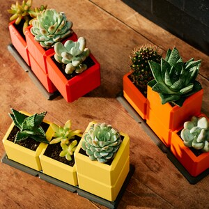 May include: Three sets of colourful, geometric planters with succulents. The planters are in red, orange, and yellow, each holding different types of succulents. The planters sit on dark grey trays, arranged on a wooden surface.