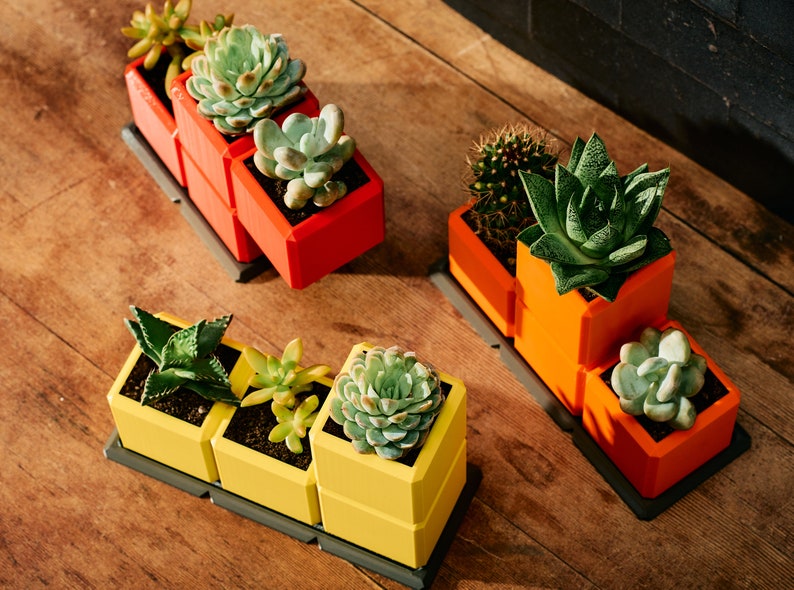 May include: Three sets of colourful, geometric planters with succulents. The planters are in red, orange, and yellow, each holding different types of succulents. The planters sit on dark grey trays, arranged on a wooden surface.