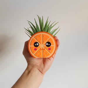 May include: A small orange slice planter with a cute cartoon face and big eyes. The planter is filled with a green succulent plant.