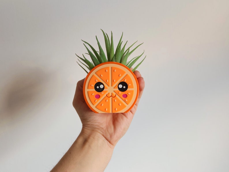 May include: A small orange slice planter with a cute cartoon face and big eyes. The planter is filled with a green succulent plant.