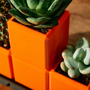 May include: Three orange square planters with different succulents. The top planter has a green succulent with long, pointed leaves. The middle planter is empty. The bottom planter has a light green succulent with round, fleshy leaves.