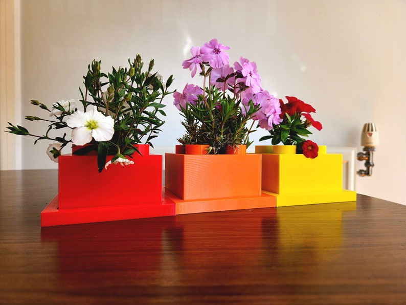 May include: Four colorful planters with different flowers. The planters are red, orange, and yellow. The flowers are white, pink, and red.