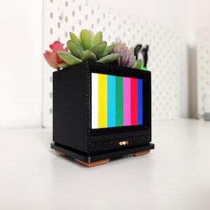 Pu&ograve; includere: Un vaso da fiori nero retr&ograve; a forma di televisore con un motivo di test colorato sullo schermo. Il vaso &egrave; pieno di piante grasse verdi e rosse.