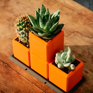 May include: Three orange square planters with different succulents. The planters are stacked on top of each other and are on a wooden surface.