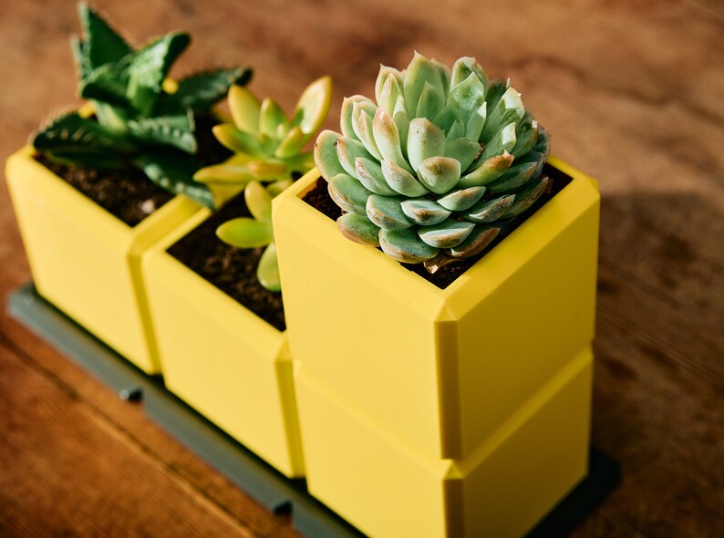 May include: Three yellow square planters with a succulent plant in each. The planters are stacked on top of each other.