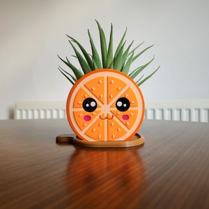 May include: A cute orange slice planter with a happy face and a small green succulent plant growing inside.
