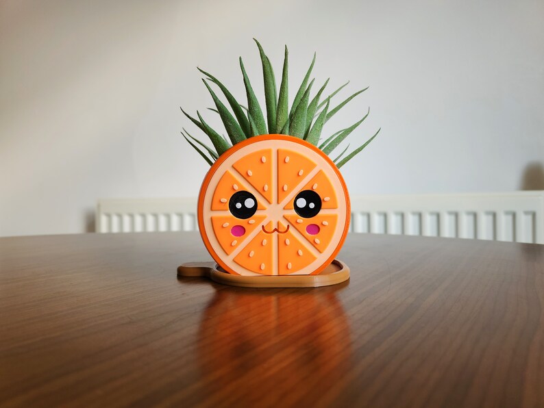 May include: A cute orange slice planter with a happy face and a small green succulent plant growing inside.