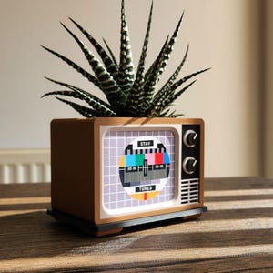 80er Retro CRT TV Blumentopf & Schreibtisch Organizer - Bildschirm anpassbar!