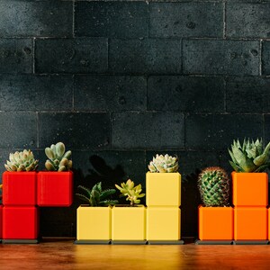 May include: A set of colorful, modular planters shaped like blocks from the classic video game Pac-Man. The planters are red, yellow, and orange and are filled with various succulents and cacti.