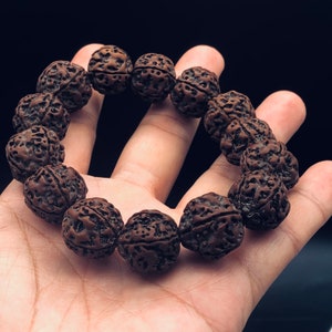 17.5mm Aged premium Nepal Rudraksha bracelet high density & oil content Honey comb double dragon 5 muki bracelet