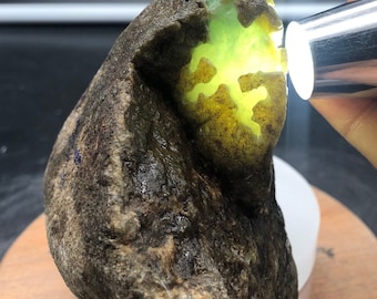 750g ,Burmese Jade stone,raw jadeite rough,jadeite,tree bark skin, Yellow wine cloud,3 unique colour,collect or invest