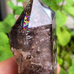 May include: A dark smoky quartz crystal with iridescent rainbow inclusions. The crystal is pointed at the top and has a rough, natural texture.