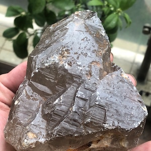 May include: A large, clear quartz crystal with a smoky brown hue. The crystal has a rough, natural surface with visible striations and inclusions.