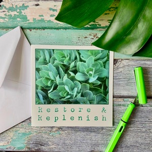 Può includere: Una carta quadrata con un'immagine di pianta verde e le parole "Restore & Replenish" in verde. Una busta bianca e una penna verde brillante sono presenti, su una superficie di legno verniciata di verde e usurata.