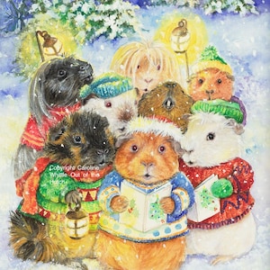 La chorale Cavy. Les cobayes vêtus de leurs chauds pulls de Noël bravent la soirée enneigée pour nous chanter la sérénade.