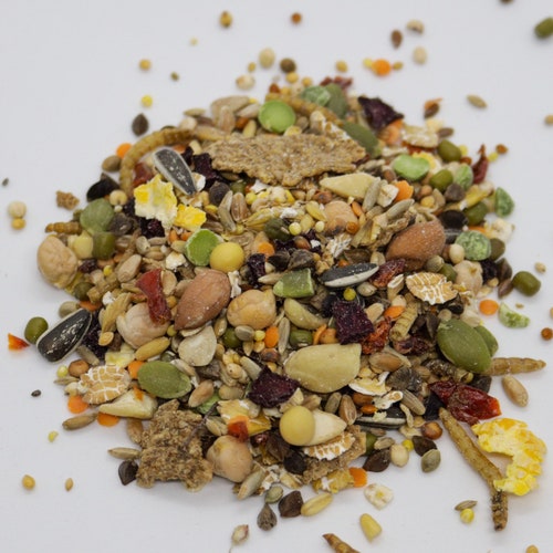 500g Syrian Hamster Food Mix With Pellets Robin's Etsy