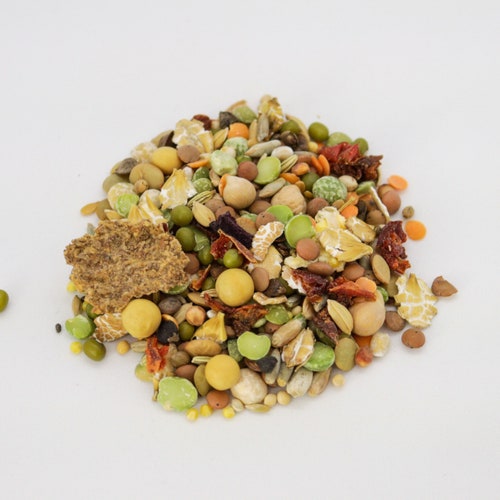 Premium Syrian Hamster Food Etsy UK