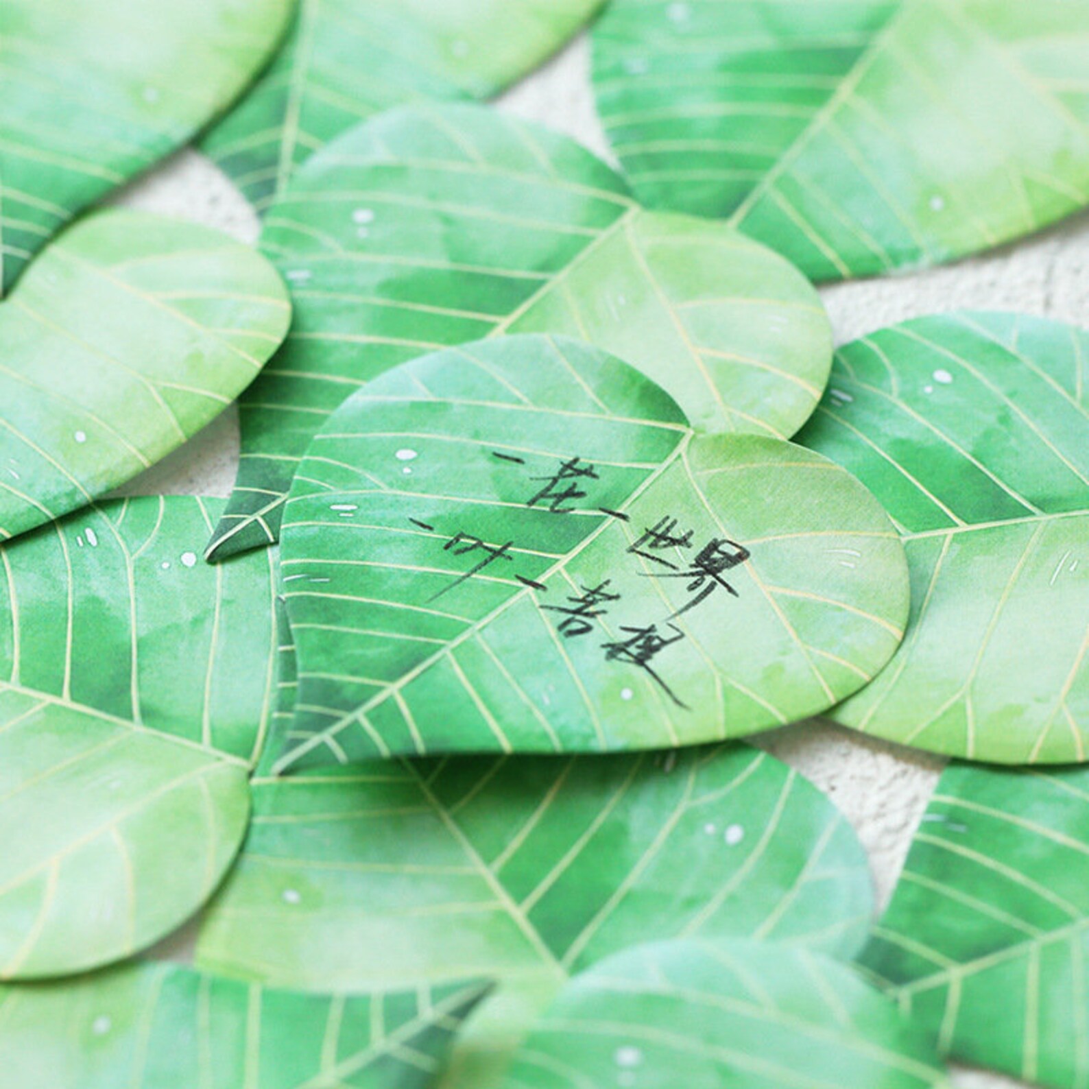 30 pc Leaf Collection Memo Pad Natural Leaves Notepad Art Etsy