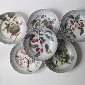 Lot of 6 antique barbotine dessert plates, French fruit glazed decorative vintage St Amand majolica, vintage Kitchenware, collectable plates