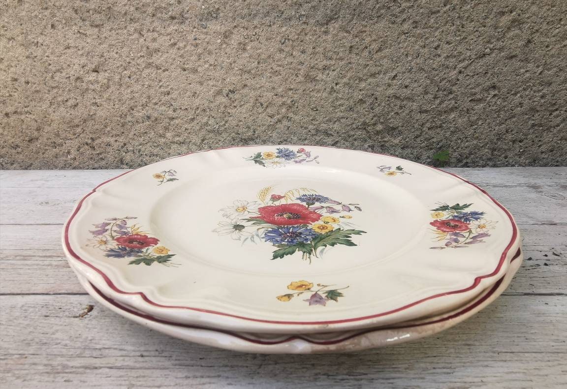 Grande Français de Service en Céramique Vintage, Digoin Sarreguemines Agreste, Cuisine Maison Campag