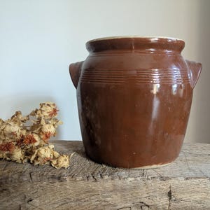 May include: A brown glazed ceramic crock featuring a wide mouth, two side handles, and horizontal ribbed detailing around the upper neck. The vessel has a smooth, reflective finish and is accompanied by a cluster of dried, light-colored flowers.