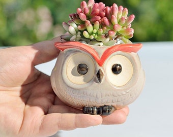 Fambe Glaze Owl Ceramic Follower Pot Cute Ornaments Home Furnishing Fleshy Pots 