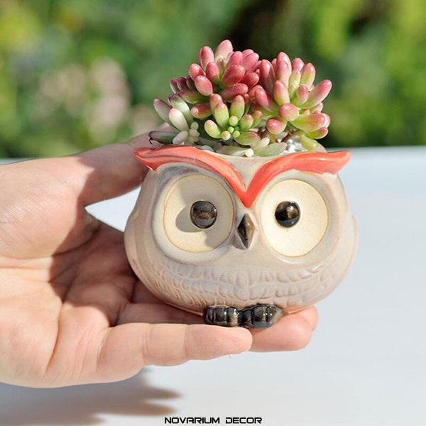 Owl Flower Pot Etsy