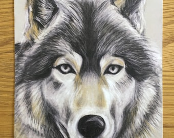 ジム・ブランデンバーグ 直筆サイン入り プリント 写真アート現状品 狼 オオカミ 狼の色鉛筆画 縦プリント - Etsy 日本