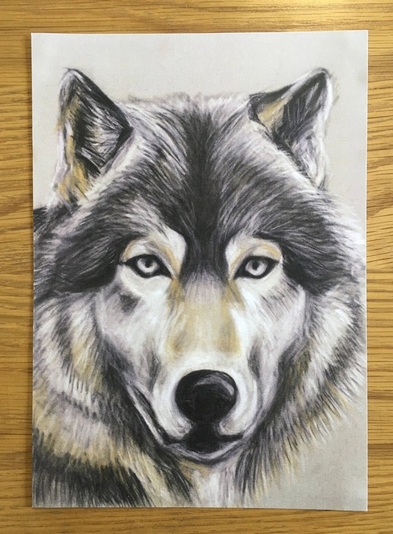Grey Wolf Portrait A4 Art Print | Etsy