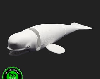 Foldable Beluga Whale