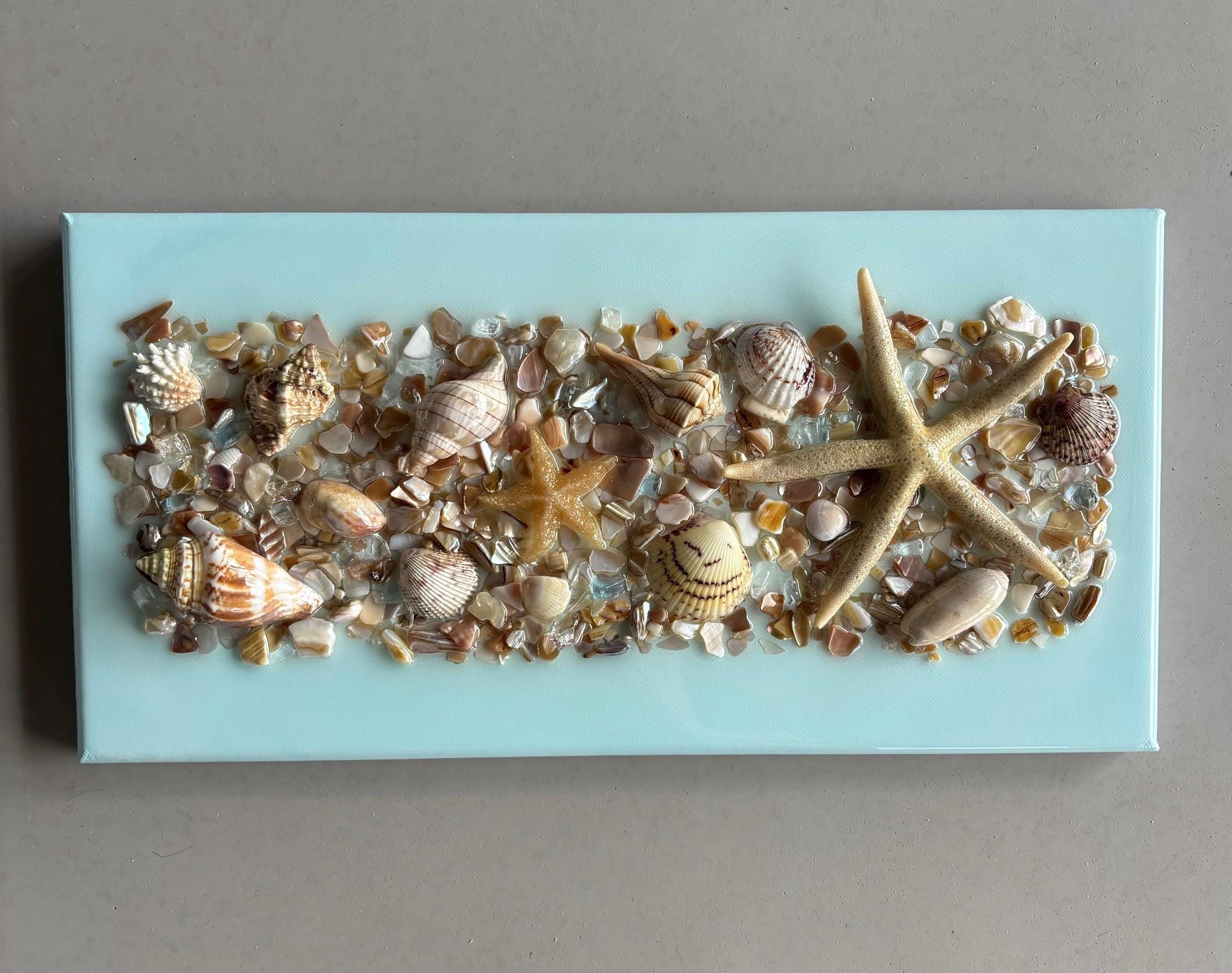 Colorful Coastal Seashell & Sea Glass Resin Wall Art – 16x8 Beach ...