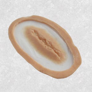 Small Laceration Silicone Prosthetic: Latex-Free Wound FX Makeup